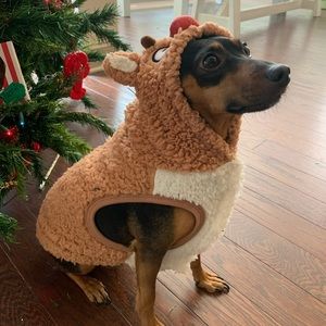 Meet your Posher, Christy